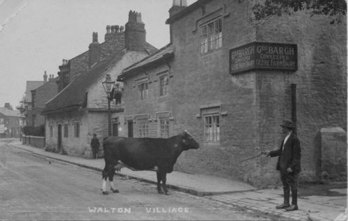 6a00d83451d16769e2019b04438ab0970d-500wi